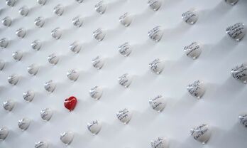 El Muro de los Deseos ya es una realidad en el Museo Abierto de Mrida