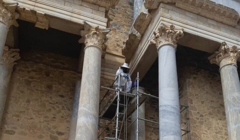 Los bomberos del SEPEI retiran un enjambre de abejas en el Teatro Romano de Mrida 